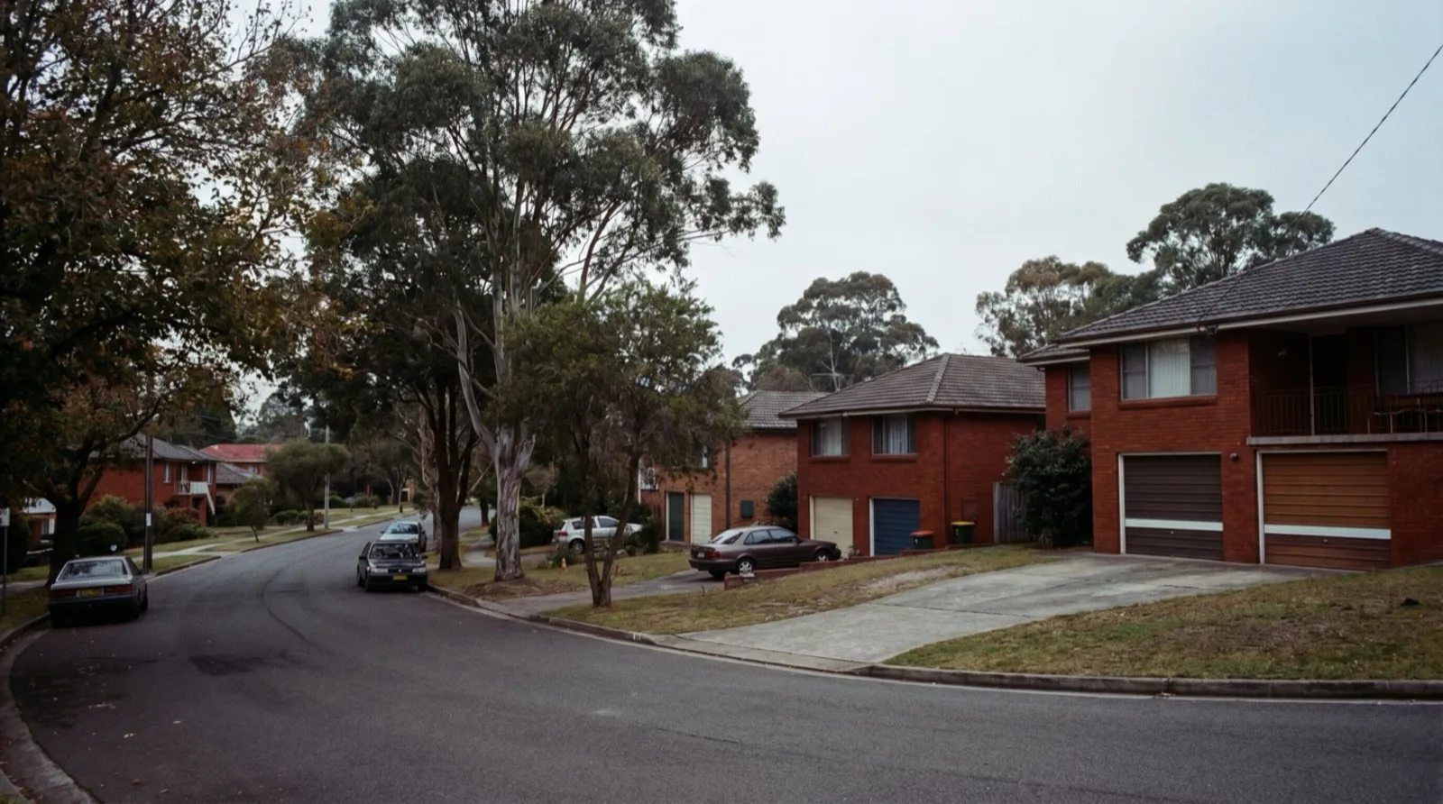 A leafy established street of brick split-level homes in Kotara